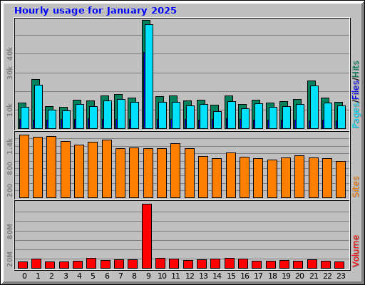 Hourly usage for January 2025